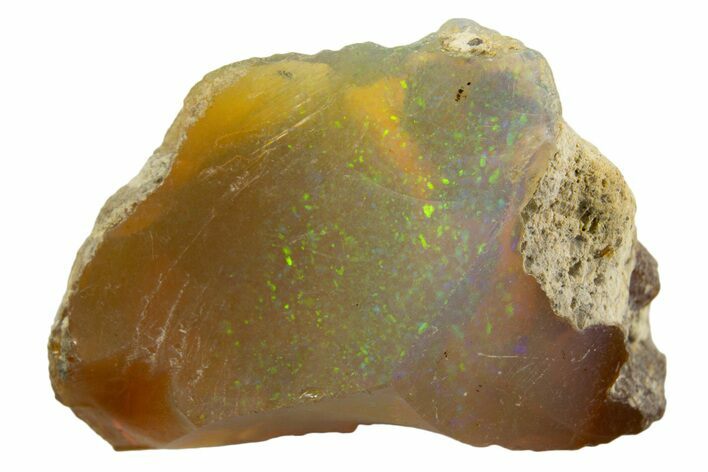 Brilliant Precious Ethiopian Fire Opal ( grams) #333508